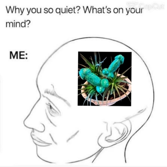 Hand Crafted Magic Wang Soap - Picture 4 of 6